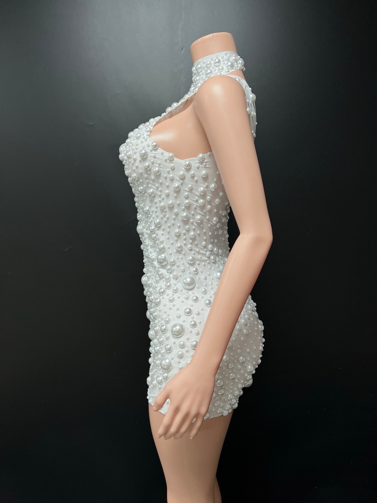 img 8365.jpg img 8365.jpg