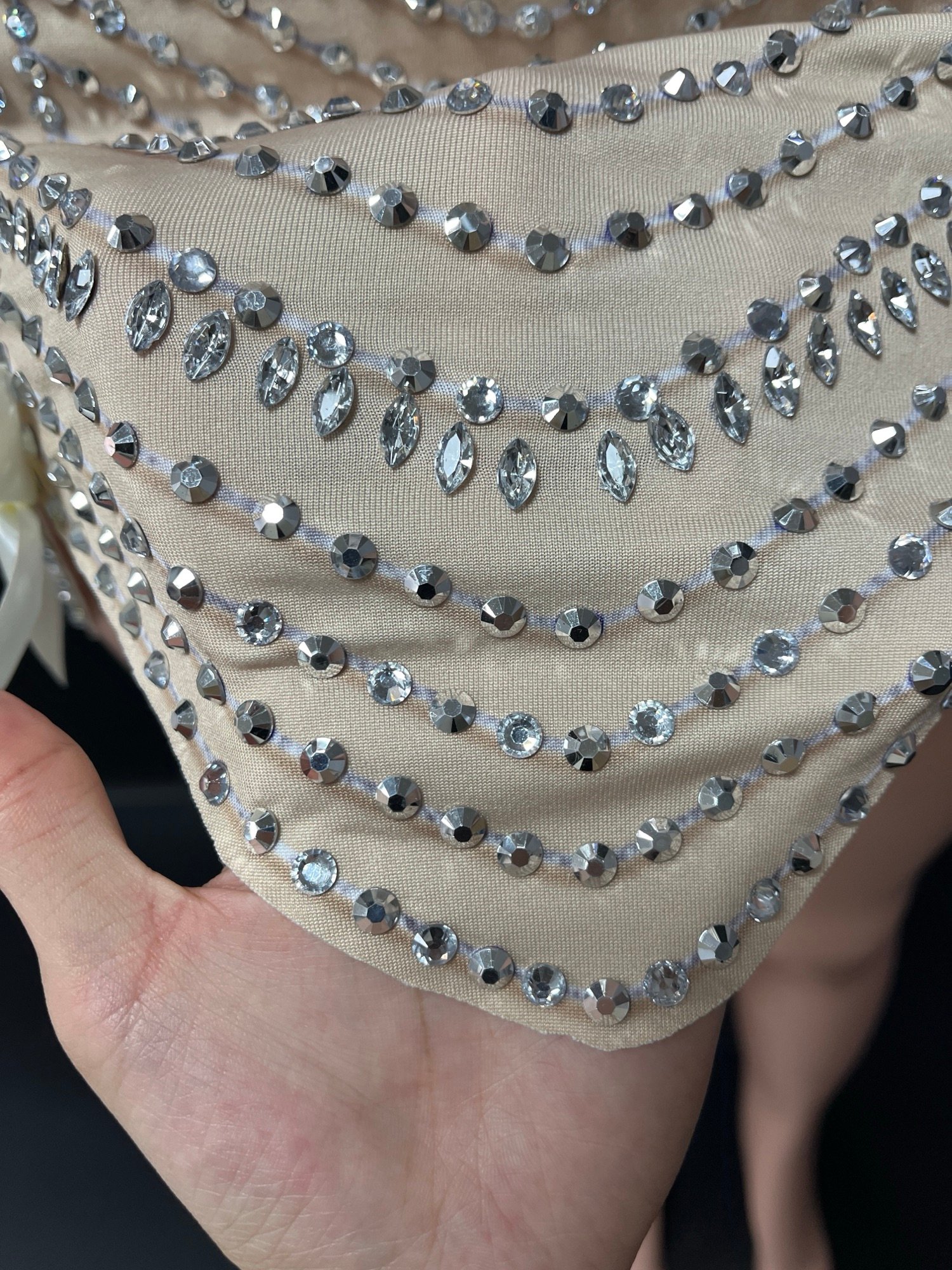 img 8374.jpg img 8374.jpg